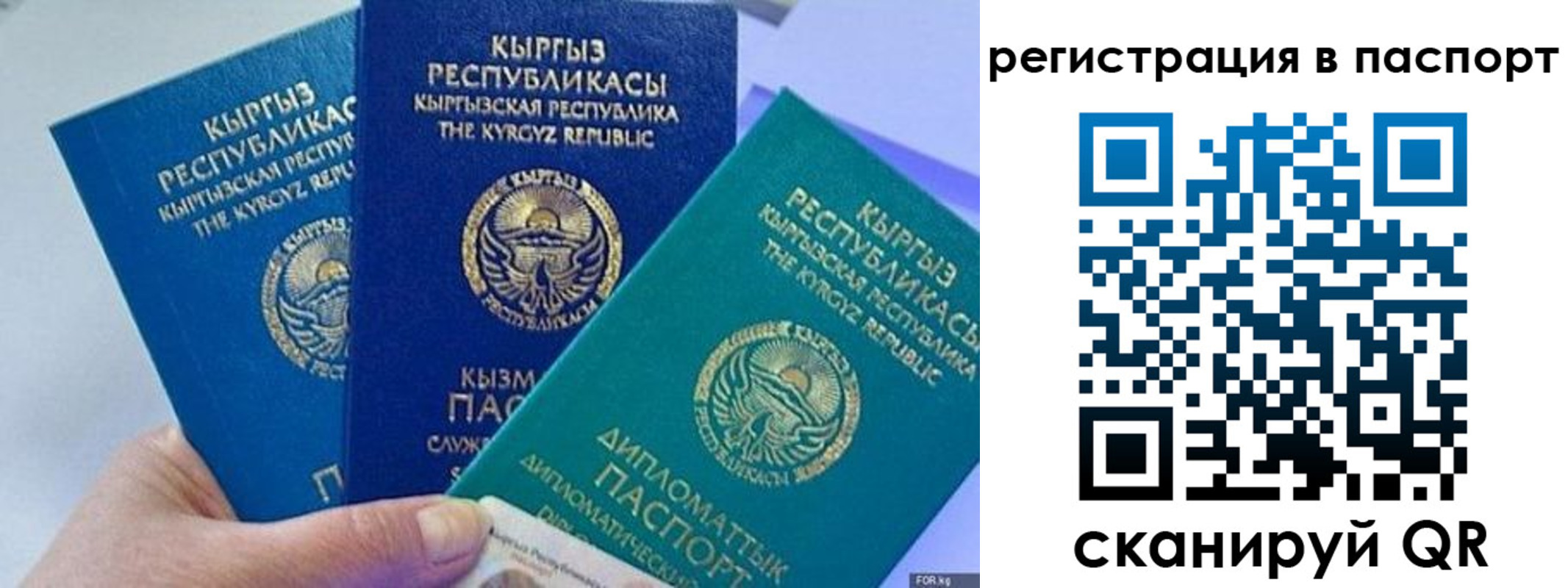прописка 2025 в Клинцах